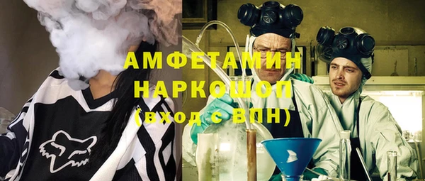 индика Алзамай