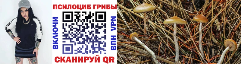 Галлюциногенные грибы прущие грибы Канаш